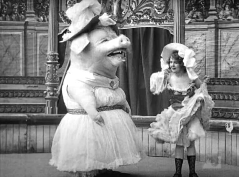 A scary pig.